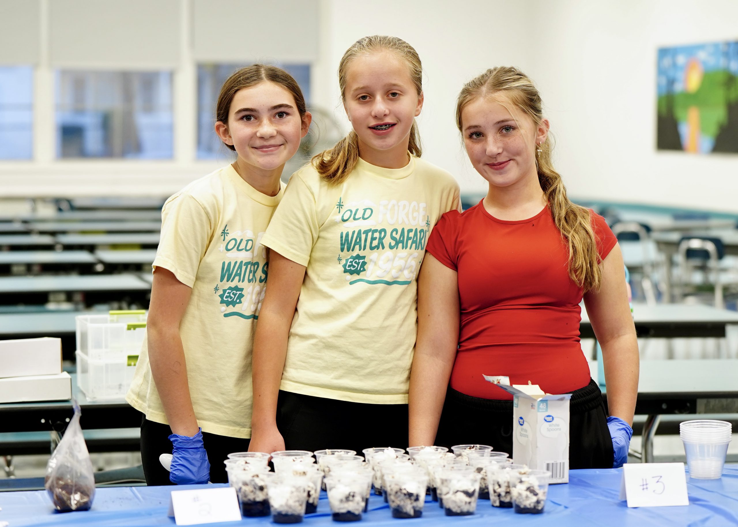 Students using laptop computers